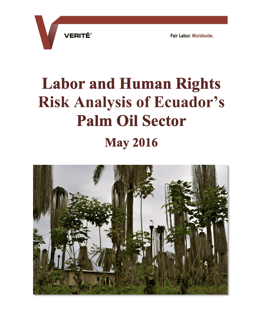 Labor and Human Rights Risk Analysis of Ecuador’s Palm Oil Sector