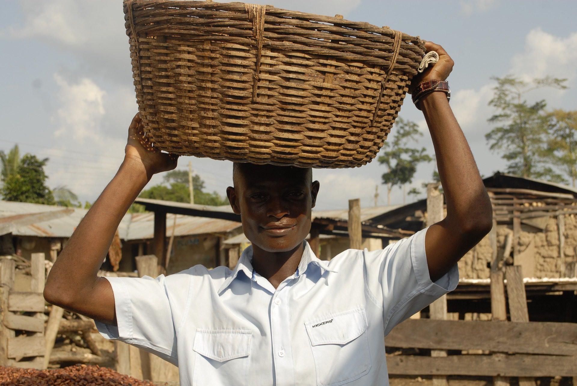 Estimating the economic incentives necessary for eliminating child labor in Ghanaian cocoa production