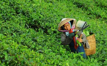 Labour trafficking: Challenges and opportunities from an occupational health perspective