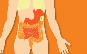 Organ Trafficking: The Unseen Form of Human Trafficking