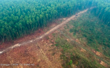 Opinion: How modern slavery threatens climate efforts