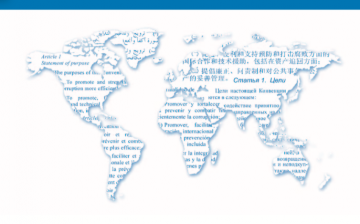 United Nations Convention Against Transnational Organized Crime and the Protocols Thereto
