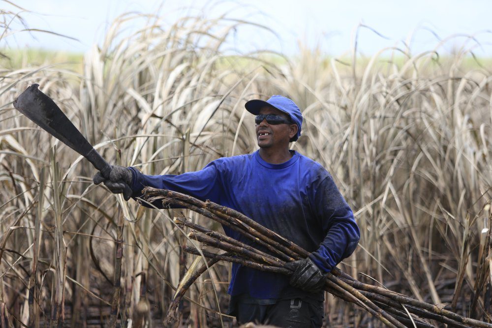 Ethanol: Brazil’s sugar-based biofuel built on labor abuse