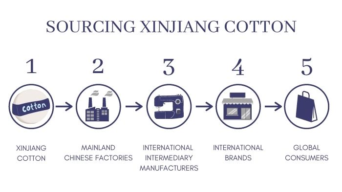 A graph showing steps of sourcing Xinjiang cotton