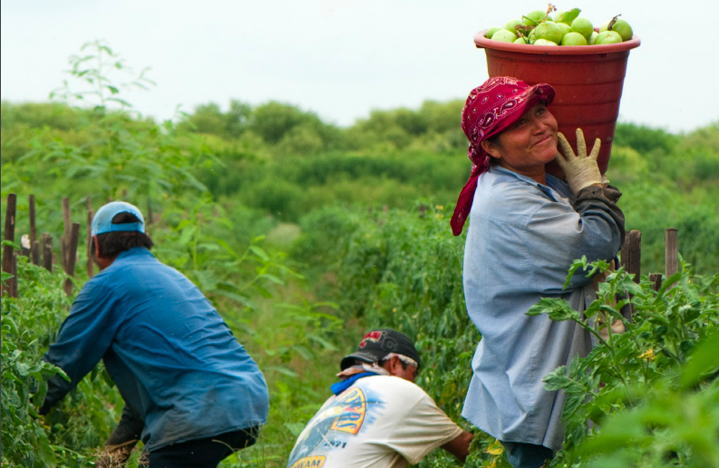 Migrant Workers Access to Justice for Wage Theft: A global study of promising initiatives