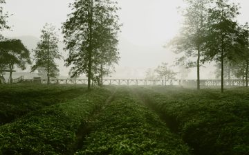 A lot of abuse for little pay’: how US farming profits from exploitation and brutality