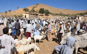 Human Trafficking and Trauma in the Digital Era: The Ongoing Tragedy of the Trade in Refugees from Eritrea