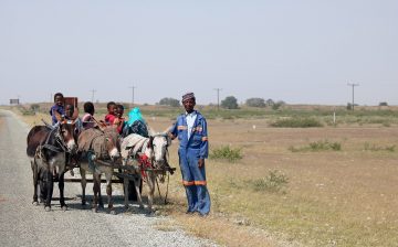 Roaming Africa: Migration, Resilience and Social Protection