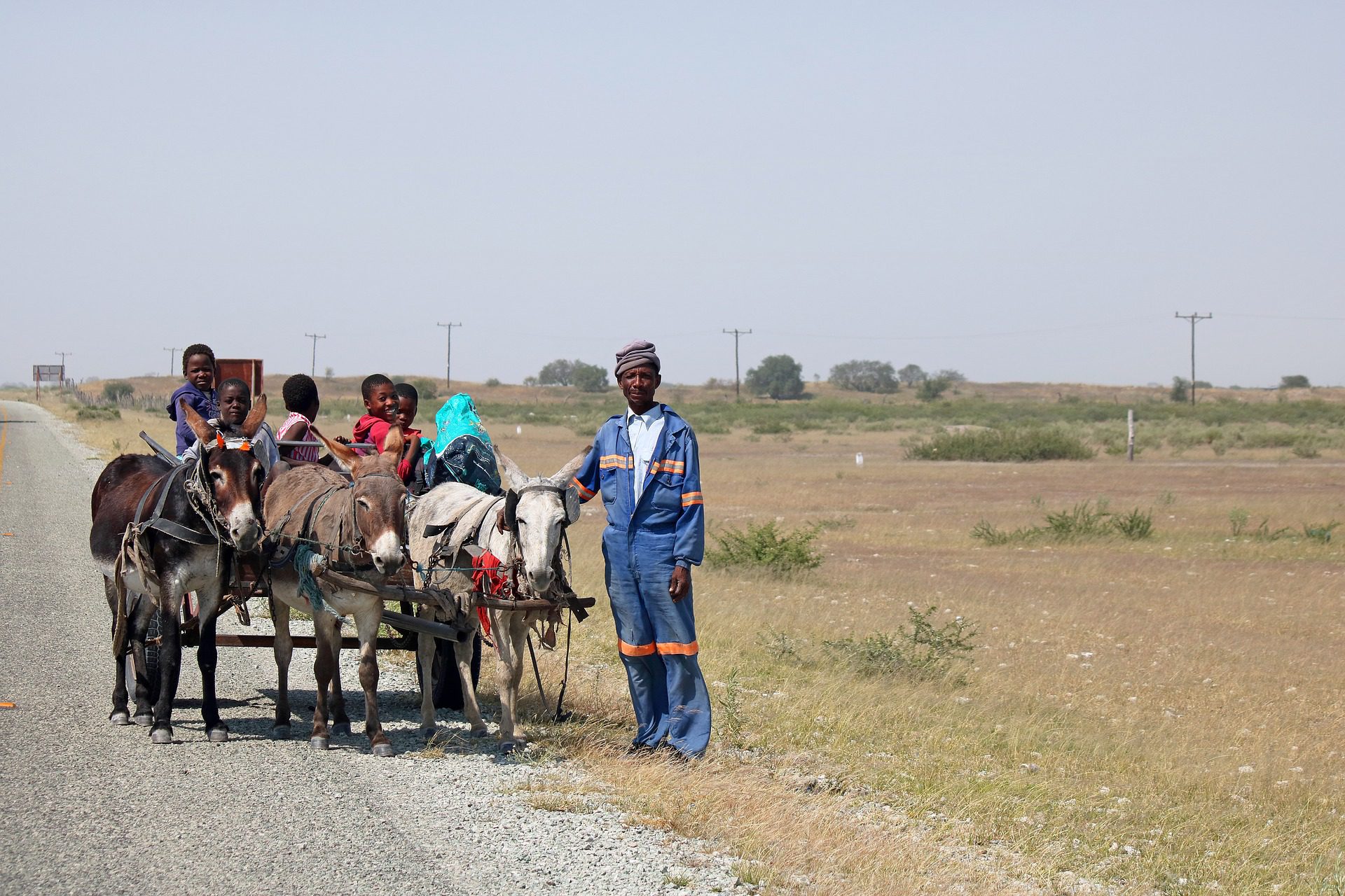 Roaming Africa: Migration, Resilience and Social Protection