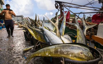 Organizations urge U.S. to block imports from Taiwanese seafood giant over forced labor concerns