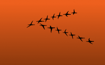 From Victim to Survivor, From Survivor to Leader: The Importance of Leadership Programming and Opportunity for Commercially Sexually Exploited and Trafficked Young Women & Girls
