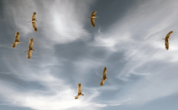 Breaking Through the Clouds: A Participatory Action Research (PAR) Project With Migrant Children and Youth Along the Borders of China, Myanmar and Thailand