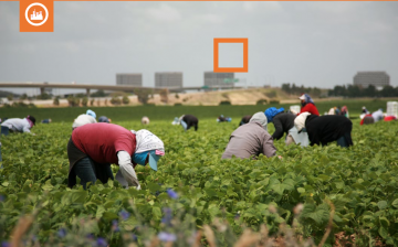Engaging the Private Sector to End Human Trafficking. A Resource Guide for NGOs.