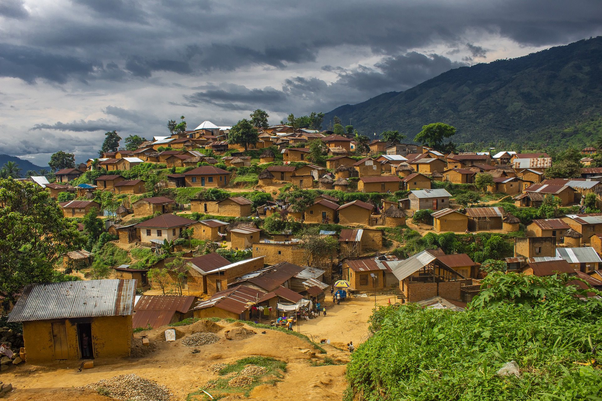 A Green Transition But At What Cost? Cobalt Mining in the Democratic Republic of Congo