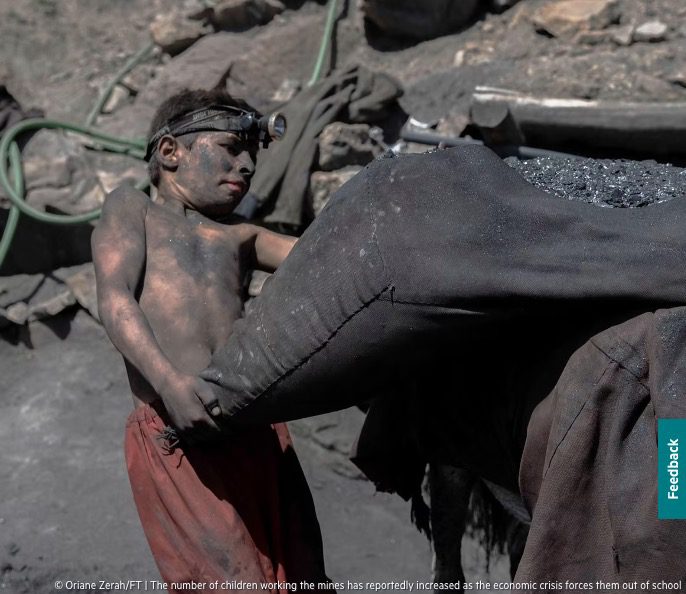 The Taliban’s black gold: militants seize on coal to reboot economy
