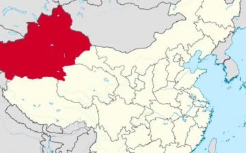 UN Expert Says East Turkistan Forced Labor Claims ‘Reasonable’