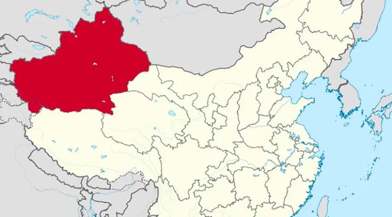 UN Expert Says East Turkistan Forced Labor Claims ‘Reasonable’