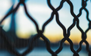 Disrupting Human Trafficking – The Role of Financial Institutions