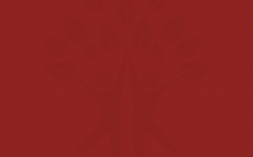 Chab Dai Charter Assessment Tool: Commitment to Excellence – Protection, Collaboration, Participation and Transparency