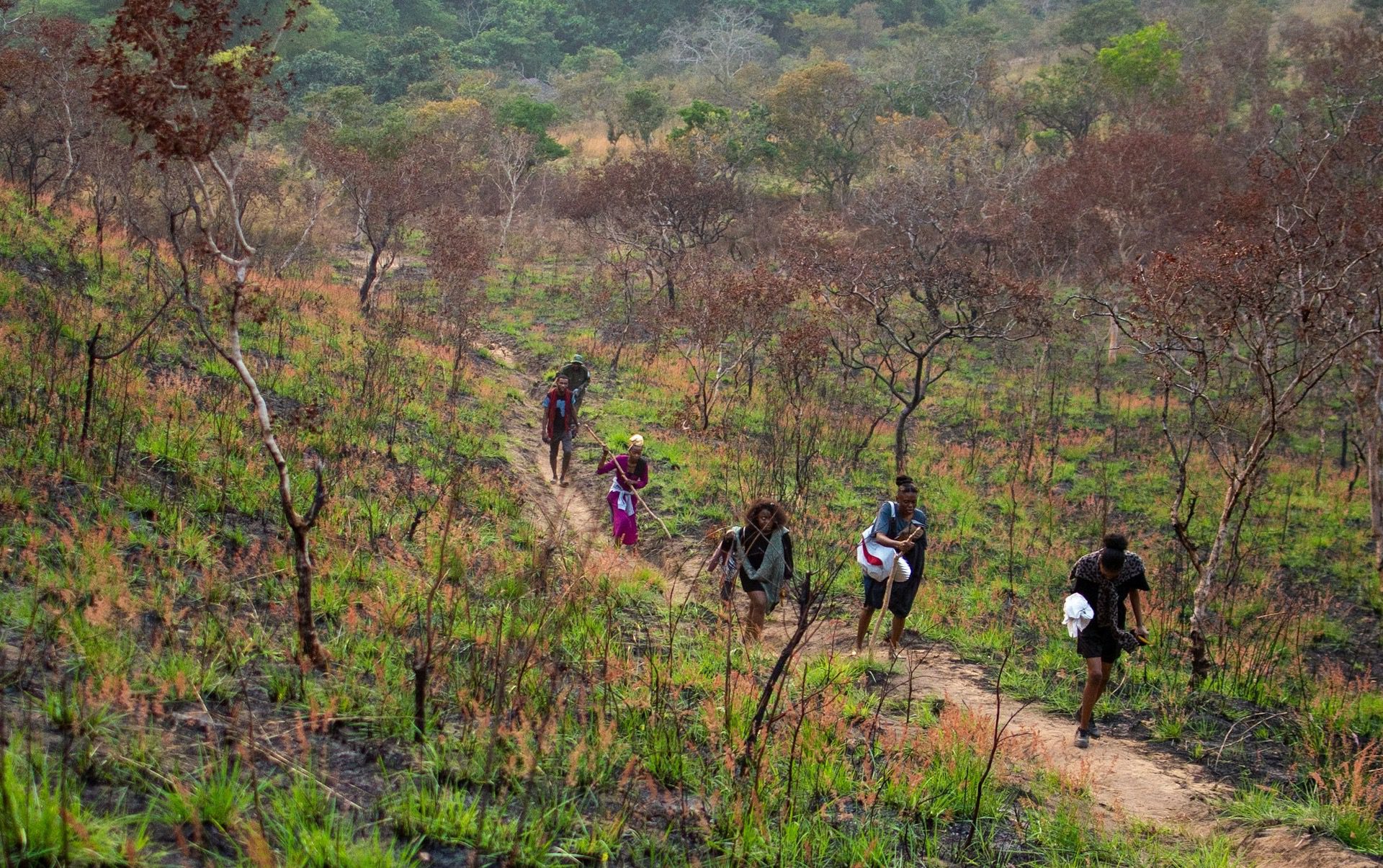 Eastern DRC: Stop Fixating on Conflict Minerals