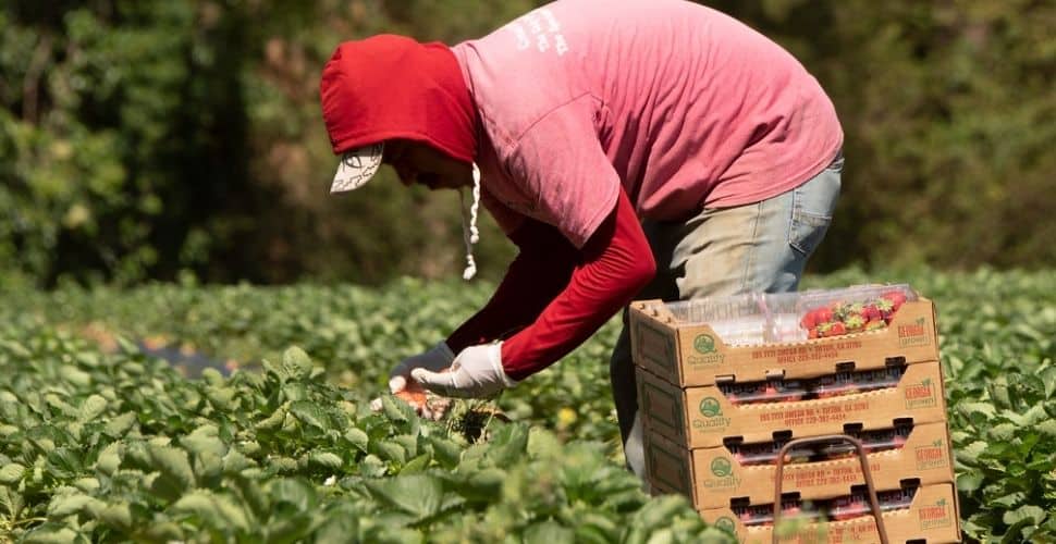 Governor Newsom was wrong to veto a bill to protect 300,000 migrant workers