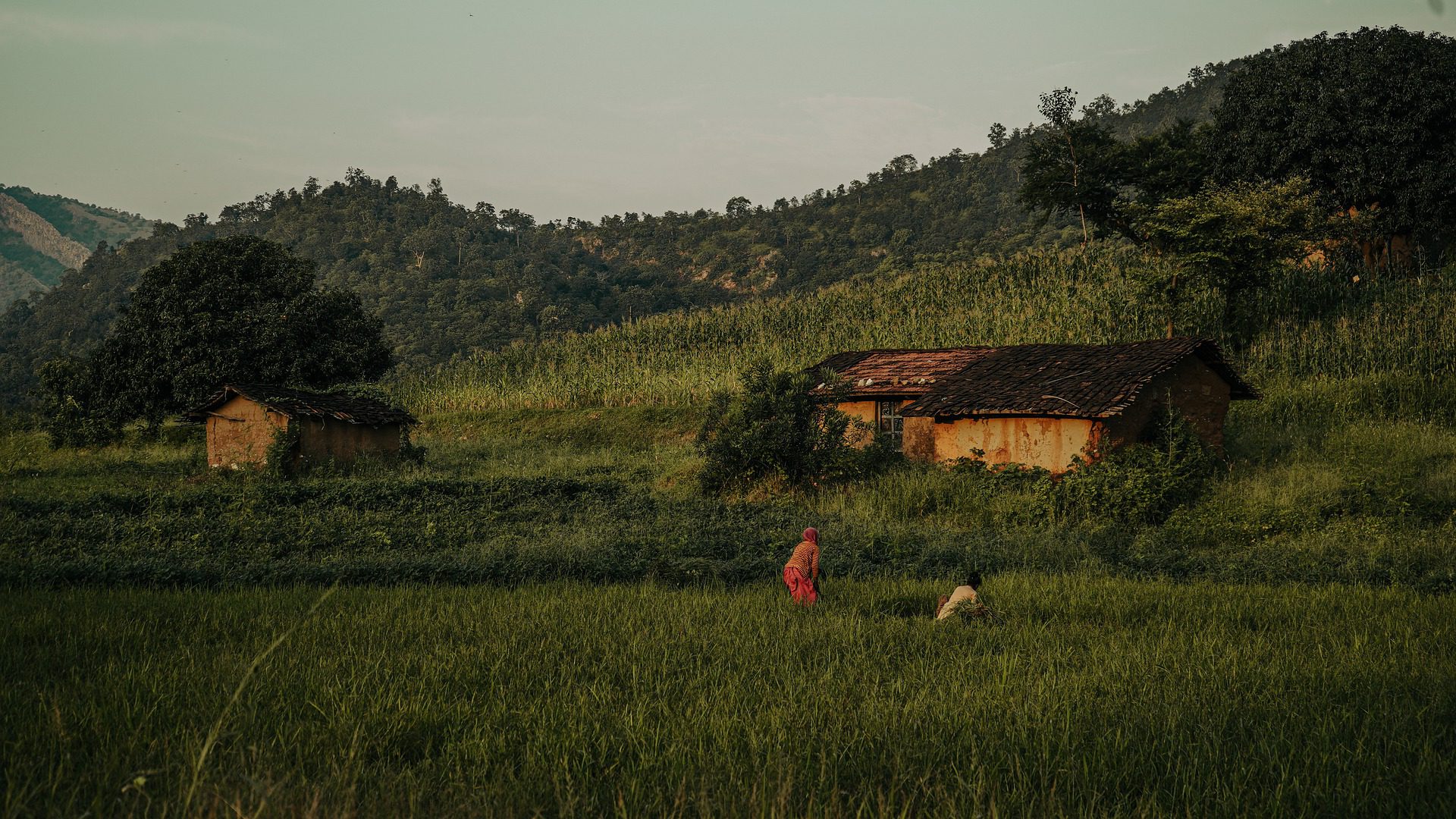 Stories Behind a Hot Cup of Assam Tea: Listening to the Voices of Women Labourers in the Tea Gardens