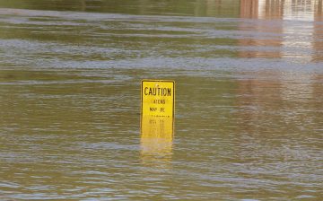 Reflections from the Field: Disparate responses to labour exploitation in post-Katrina Louisiana