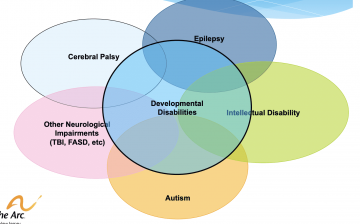 Addressing Human Trafficking of People with Disabilities