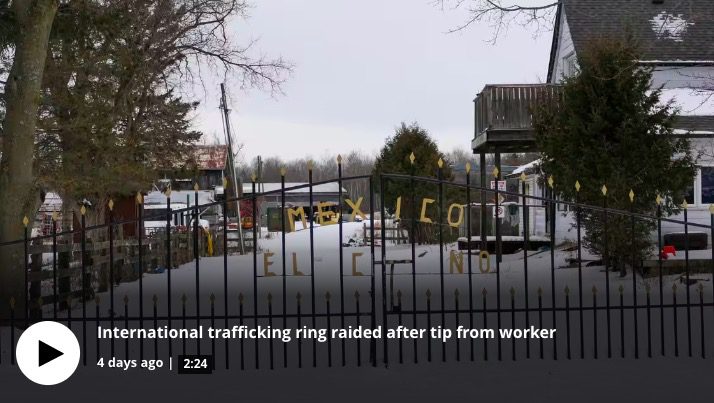 A single foreign worker blew the lid off a massive international trafficking ring north of Toronto, police say