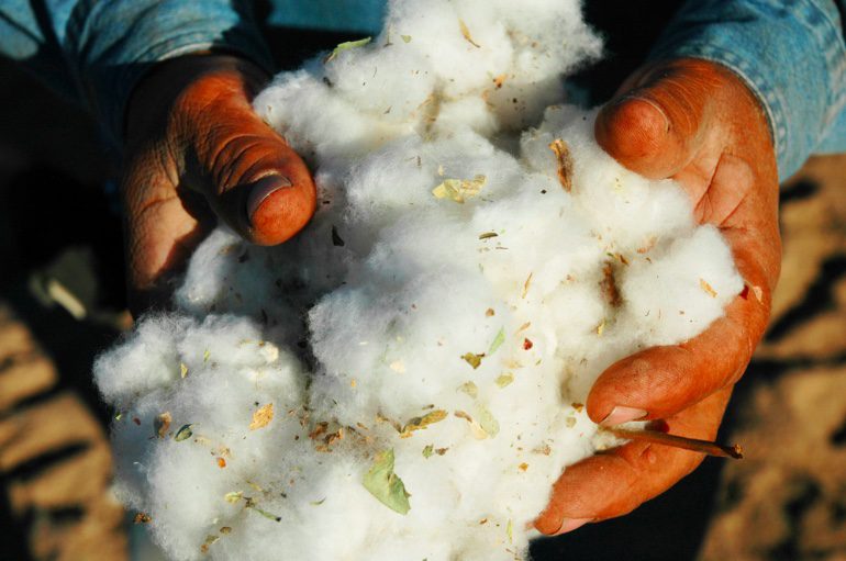 Forced labour in Turkmenistan cotton sector still prevalent