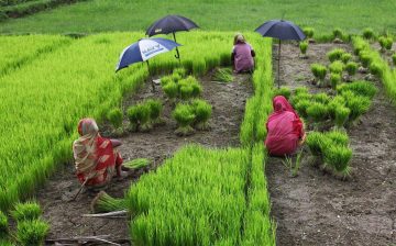 Strengthening International Labor Migration Systems in Bangladesh to Protect Workers