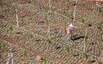 Federal labor standards enforcement in agriculture