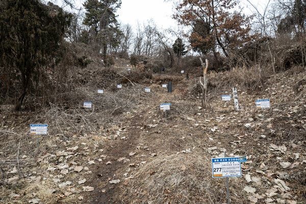 A hillside with dead leaves and white signs on sticks stuck into the ground.