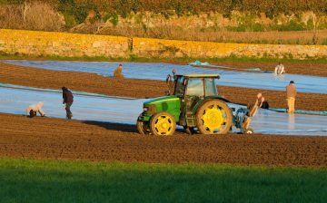 Pushing Back Against Loosening Child Labor Laws