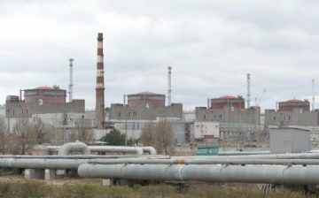 Zaporizhzhia nuclear power plant workers subjected to forced labour by Russian forces, say trade unions