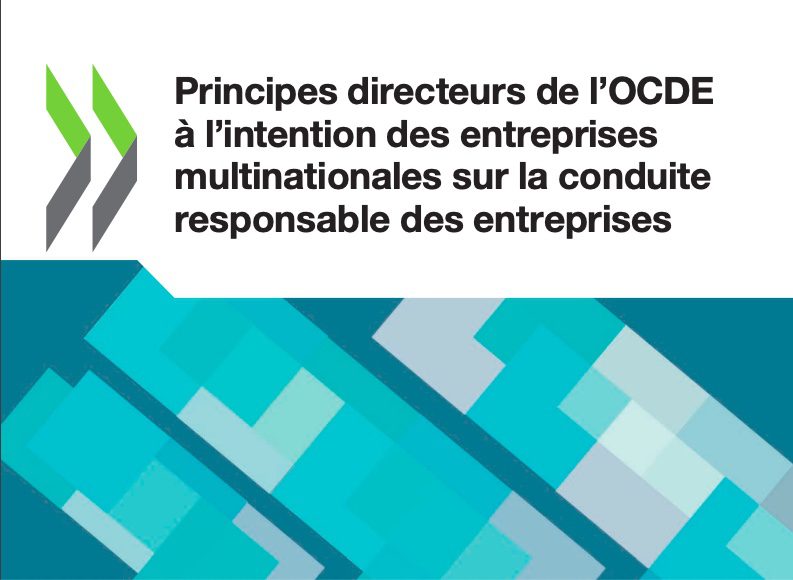 Principes directeurs de l’OCDE à l’intention des entreprises multinationales sur la conduite responsable des entreprises