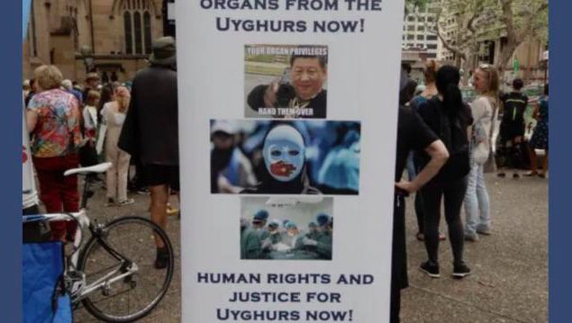 Organ Harvesting from Uyghurs: Evidence Grows, the U.S. Reacts