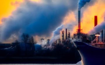 Carbon credit scheme likely linked to Uyghur forced labor