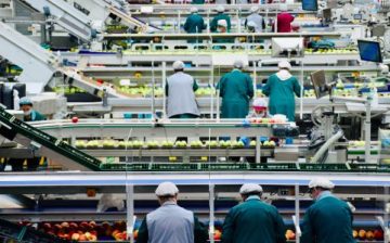Child labor a common blind spot for private auditing firms