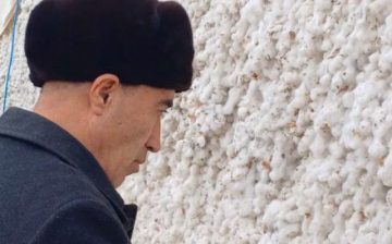 Uzbek Cotton Harvest 2023: Risk of Forced Labor Remains High