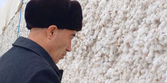 Uzbek Cotton Harvest 2023: Risk of Forced Labor Remains High