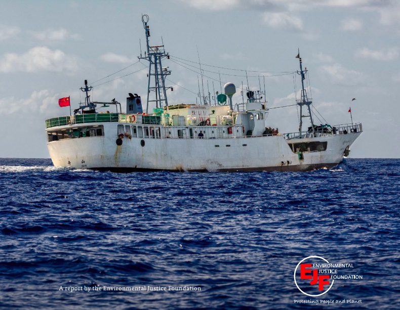 Tide of Injustice: Exploitation and Illegal Fishing on Chinese Vessels in the Southwest Indian Ocean