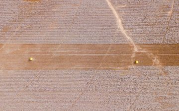 ‘Significant’ Volume of Xinjiang Cotton Mislabeled as US or Brazilian