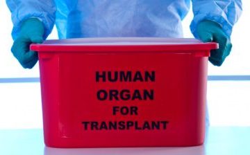 The formidable organ trade happening in Asia