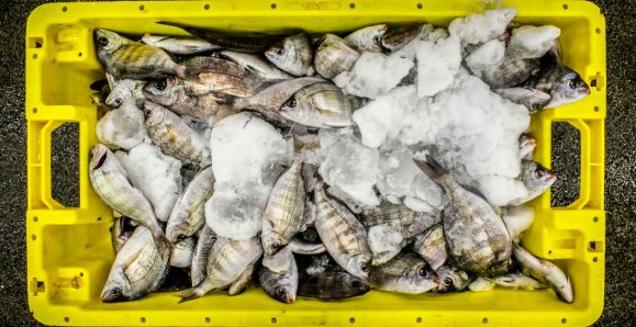 Raw Seafoods sued by migrant tees for child labor violations