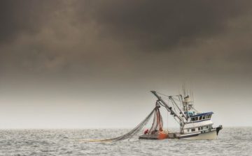 Fisherman recognized as modern slavery victims compensated by U.K. Government
