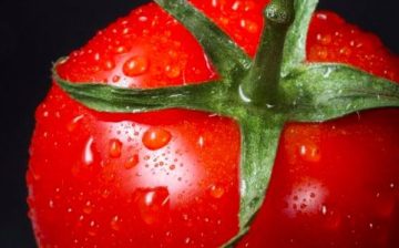 U.K. supermarkets likely selling ‘Italian’ tomato products from Uyghur Region
