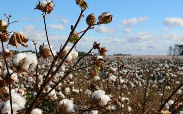 EU Adopts New Regulation to Curtail Forced Labor