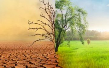Climate change exacerbated by modern slavery in Africa