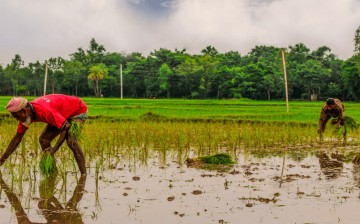 One of the costs of climate change inaction? Slavery